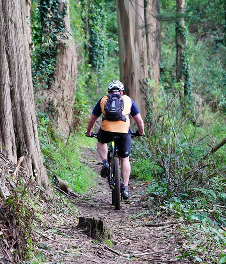 Cycling Through Plantations