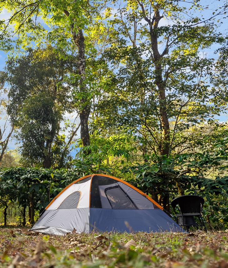 Backyard Camping